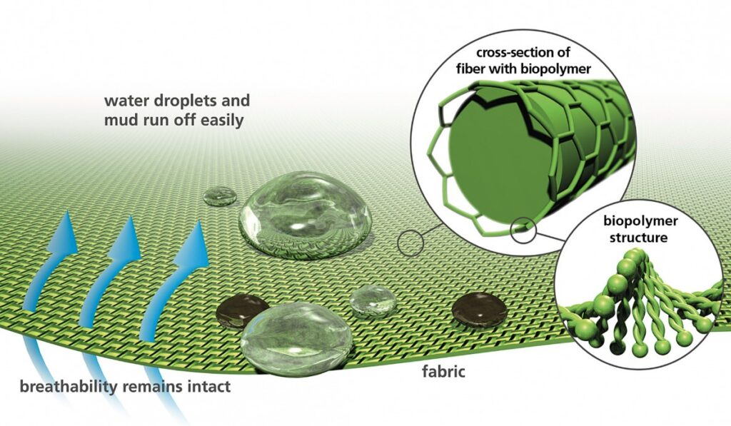 Biopolymer Fibers